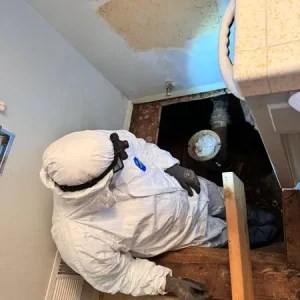 Sub Floor Repair and Toilet Installation in Camino