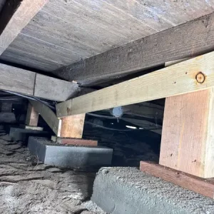 Cabin Restoration in Twin Bridges